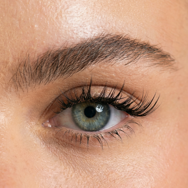 3 Row Tray Wispy