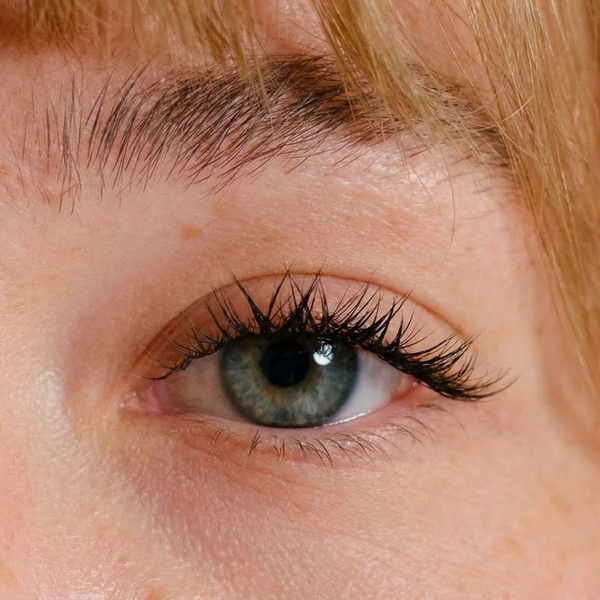 XL Lash Kit Classic